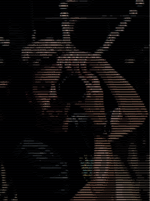 facebook-zdjecia-ascii