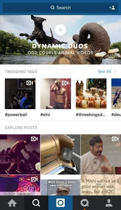 instagram-spotlight