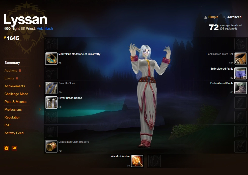 Przykład postaci w Armory, która levelowała do 100 poziomu na regułach Iron Man Challenge class="wp-image-471517" 