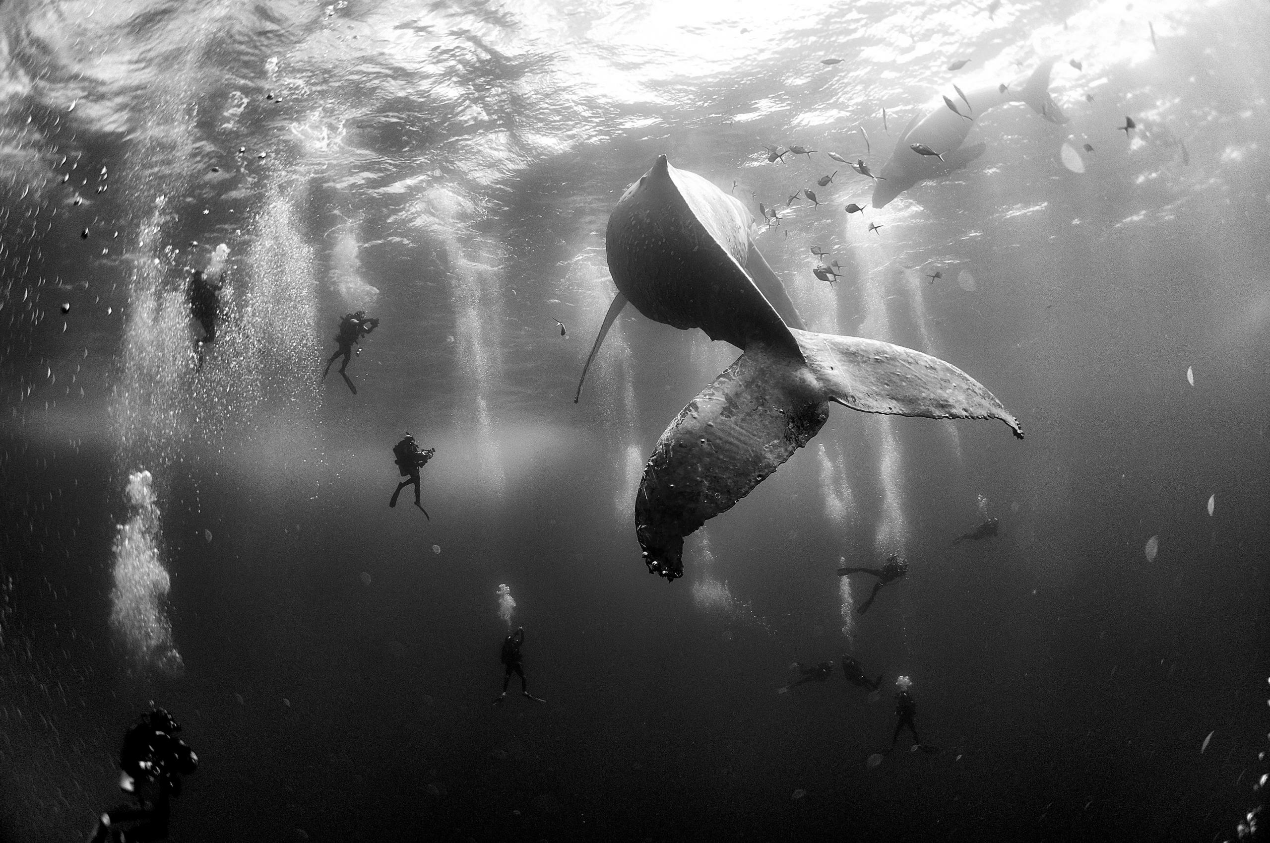 2. miejsce, Anuar Patjane Floriuk class="wp-image-473119" 
