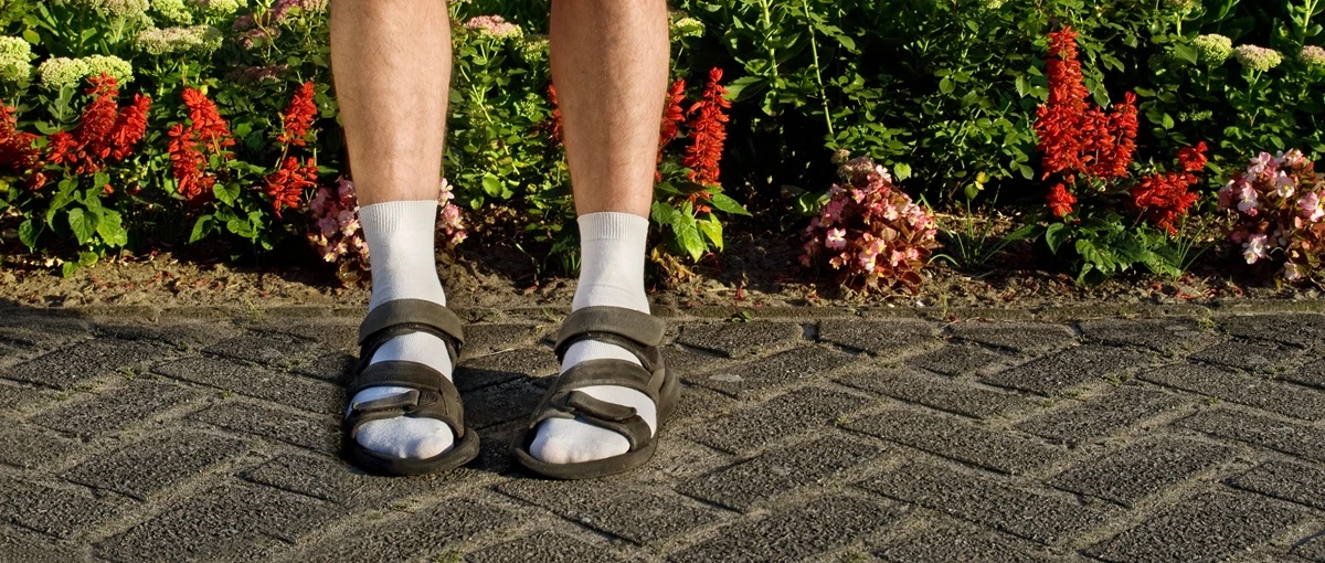 Kulturowy rozbiór Polski