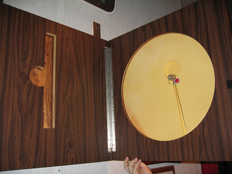 seal_bug class="wp-image-503509"