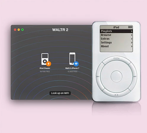 Waltr 2 class="wp-image-500997"