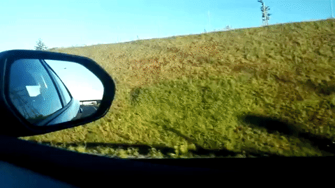 Prius-GIF-9 