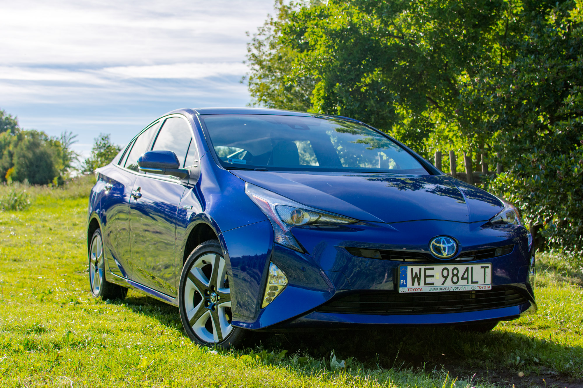 Toyota-Prius-trawa-1 