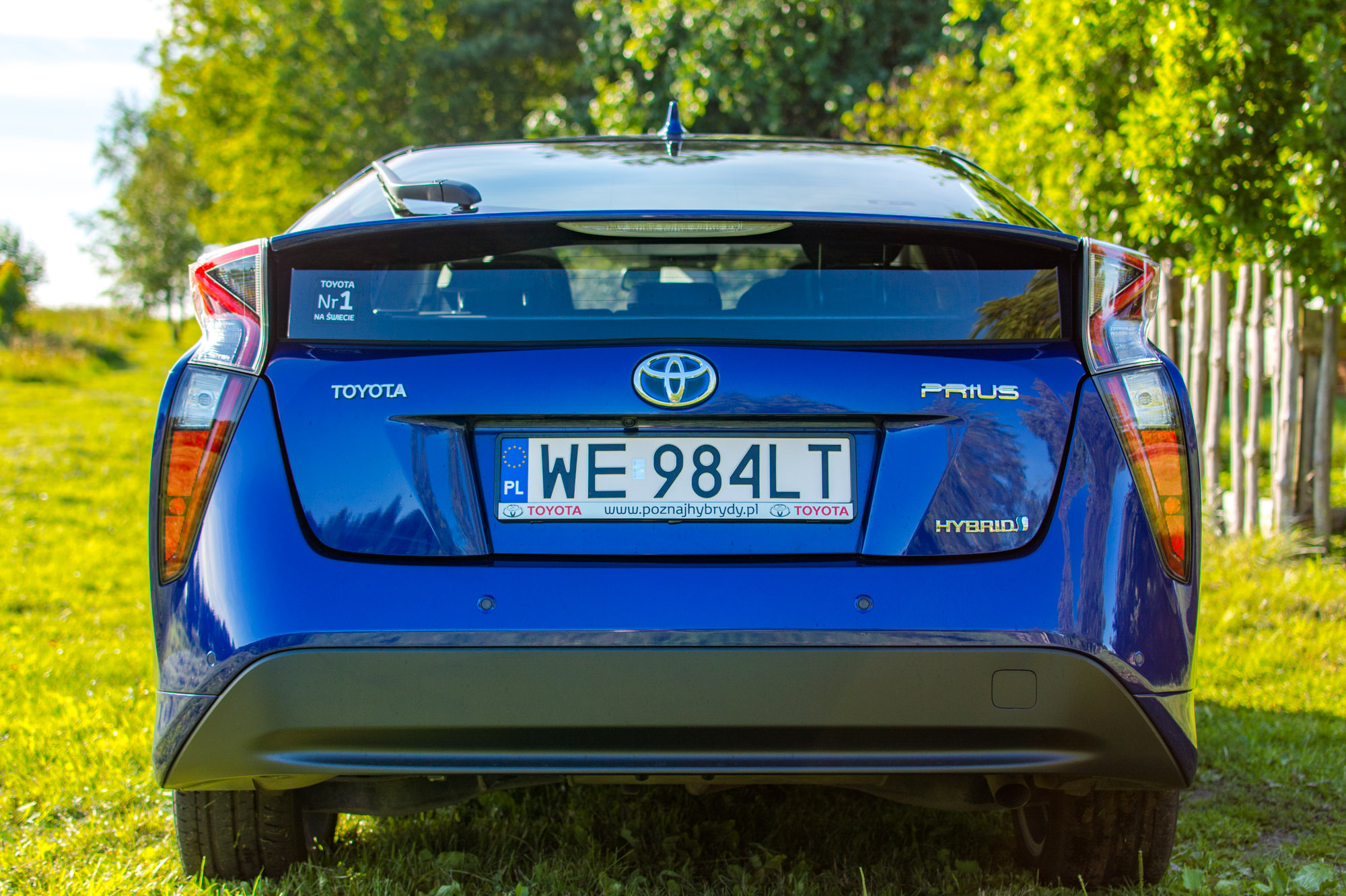 Toyota-Prius-trawa-9 