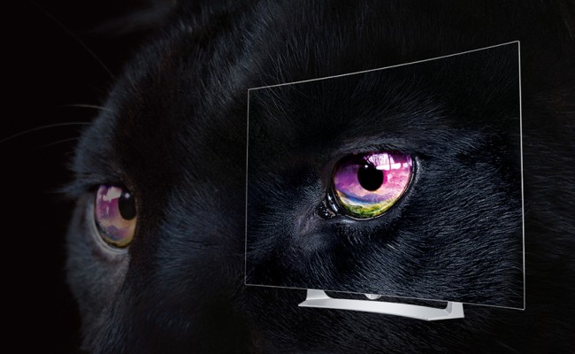 dlaczego OLED class="wp-image-509822" 