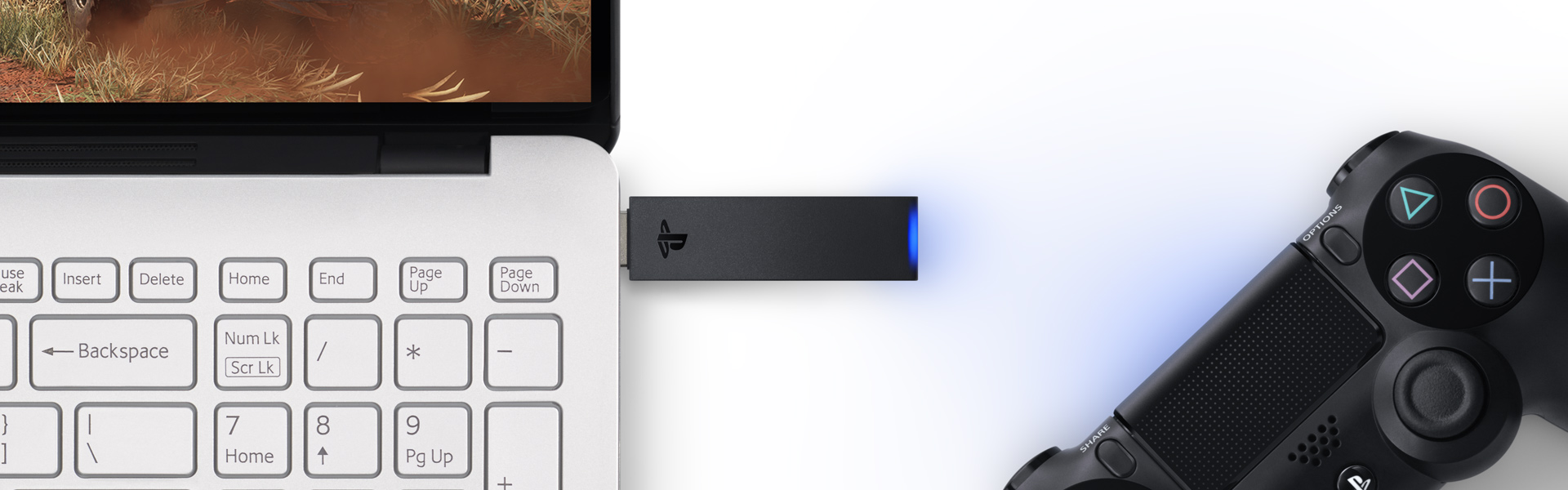 PlayStation Now na PC