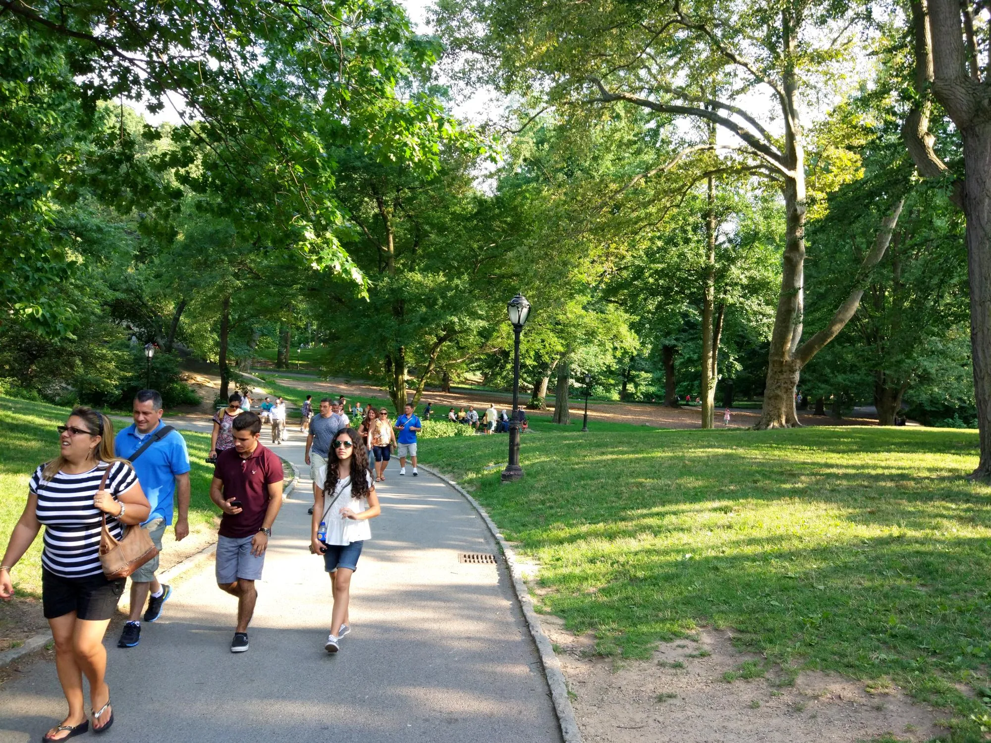 central-park-6 class="wp-image-516181" 