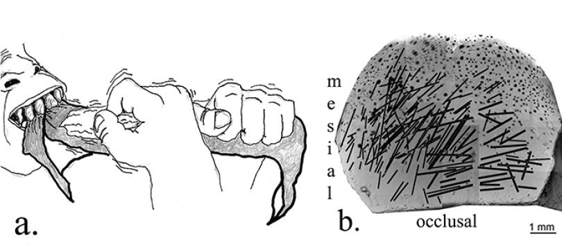 praworecznosc class="wp-image-523331" 