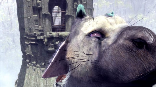 the-last-guardian-96 class="wp-image-532431" 