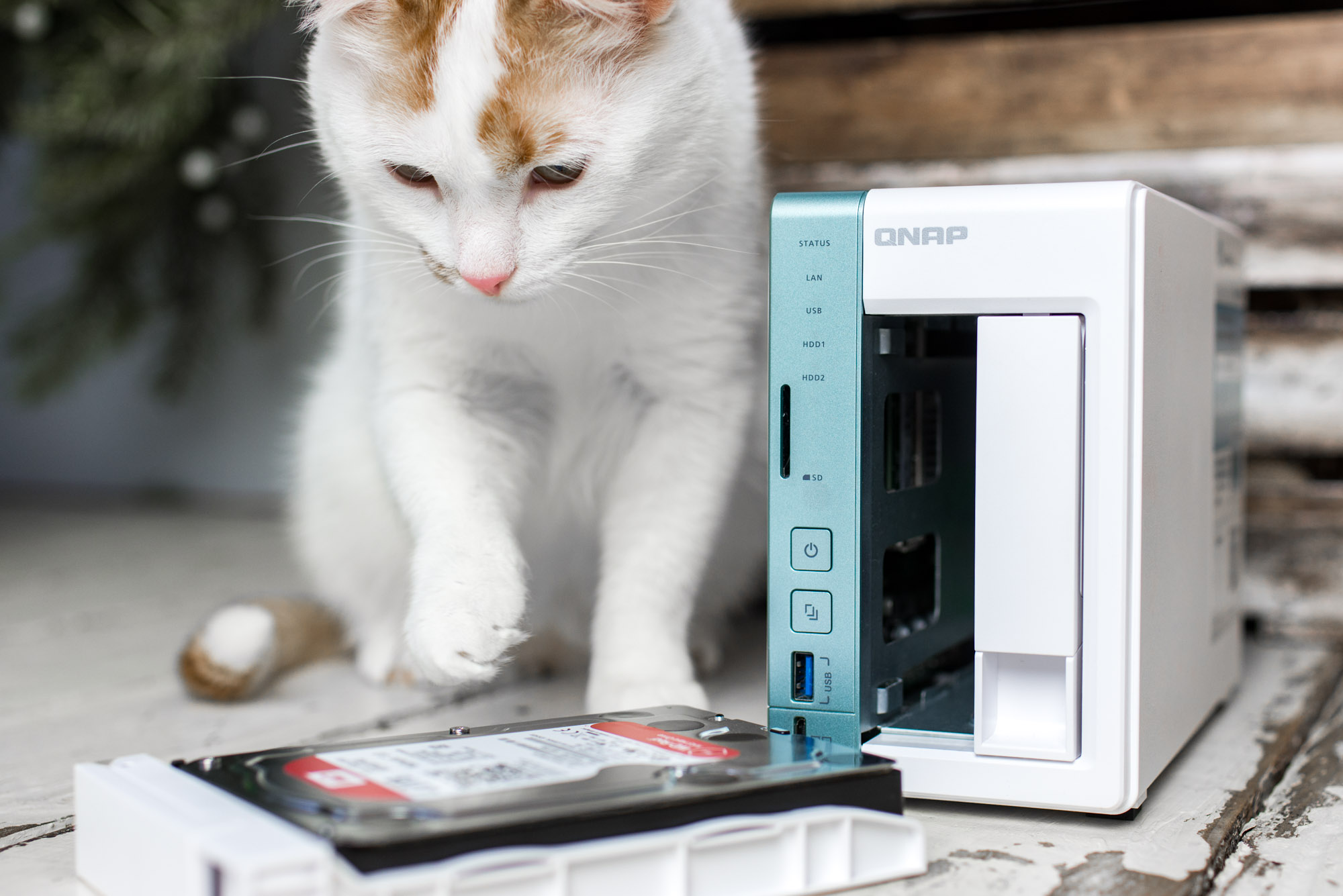 qnap-ts-251a-10 class="wp-image-536374" 