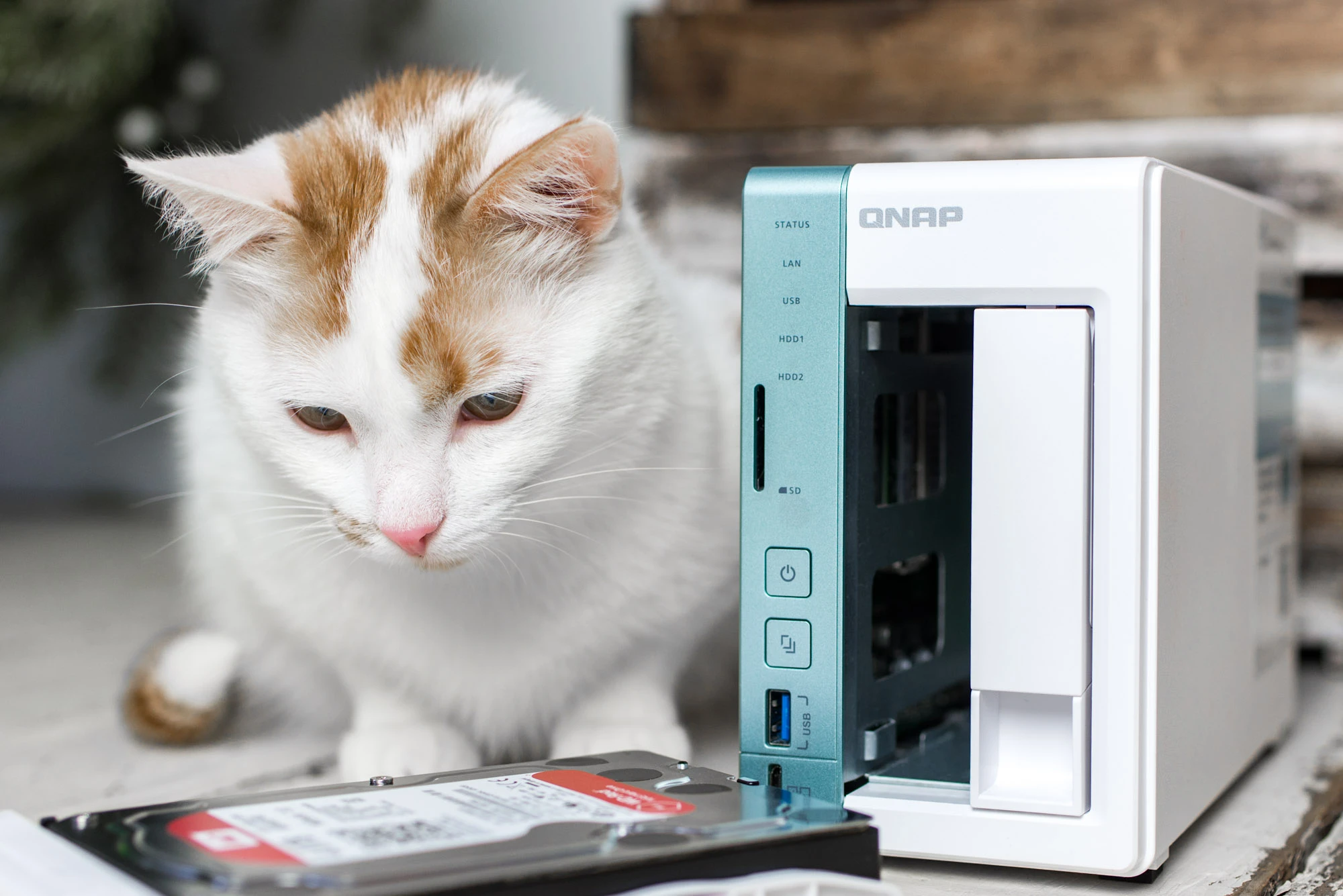 qnap-ts-251a-9 class="wp-image-536373"