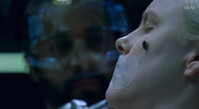 Westworld - sezon 2 - pytania class="wp-image-532607" 