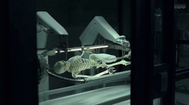 Westworld - sezon 2 - pytania class="wp-image-532599" 