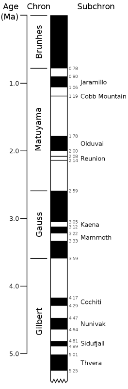 bieguny magnetyczne 