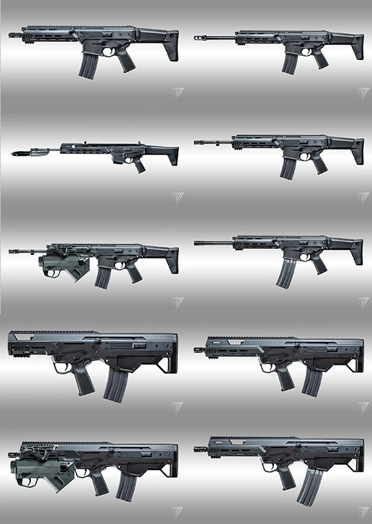 Polski karabin MSBS class="wp-image-548168"