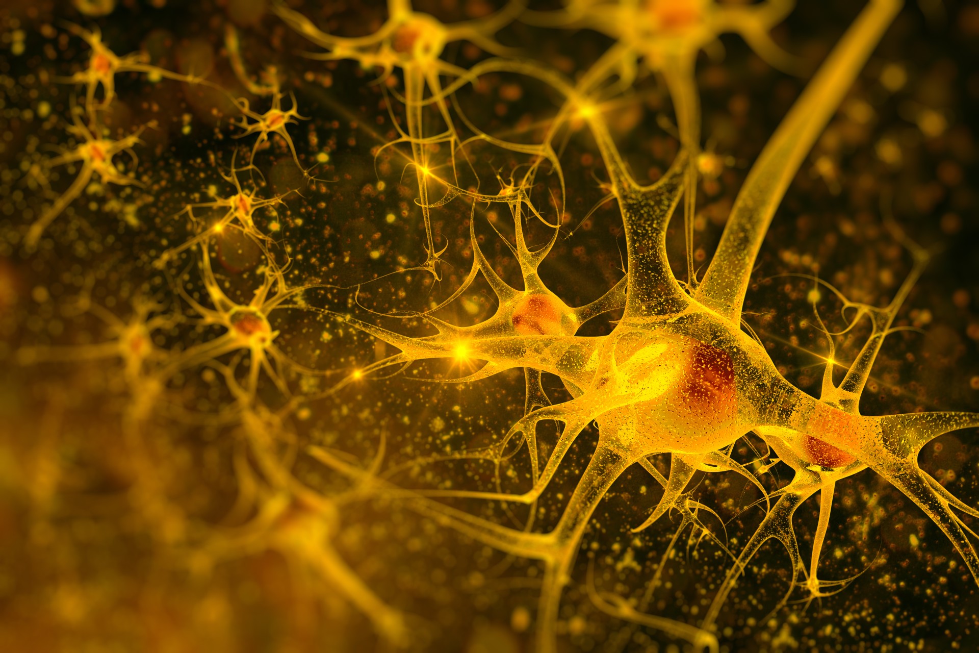 choroba parkinsona reprogramowanie komórek