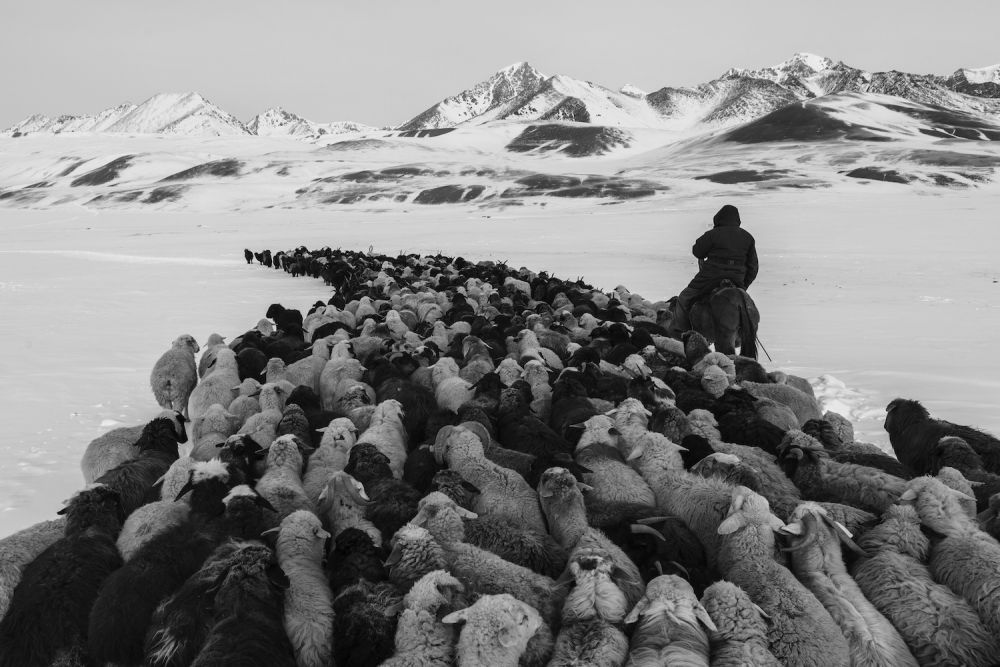 Sony World Photography Awards 2017 class="wp-image-559360" 