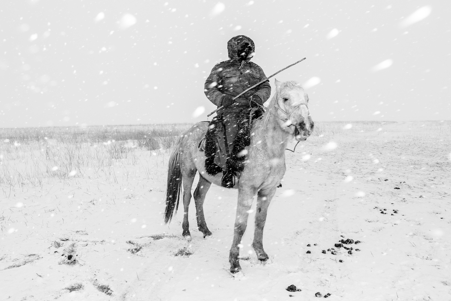 Sony World Photography Awards 2017