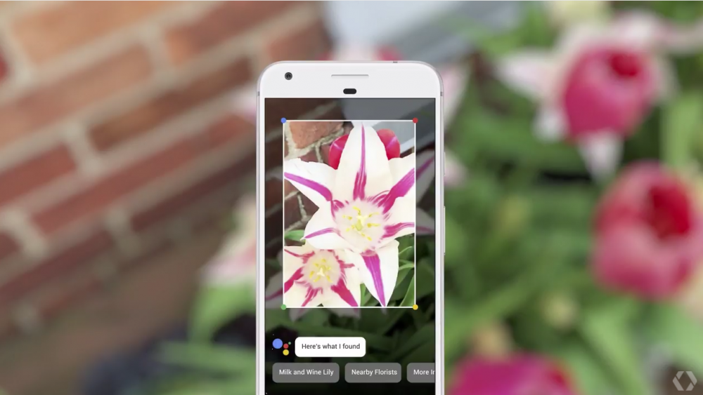 Google Lens class="wp-image-565033" 