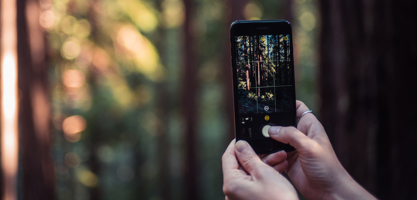 Halide - aplikacja aparatu na iPhone'a