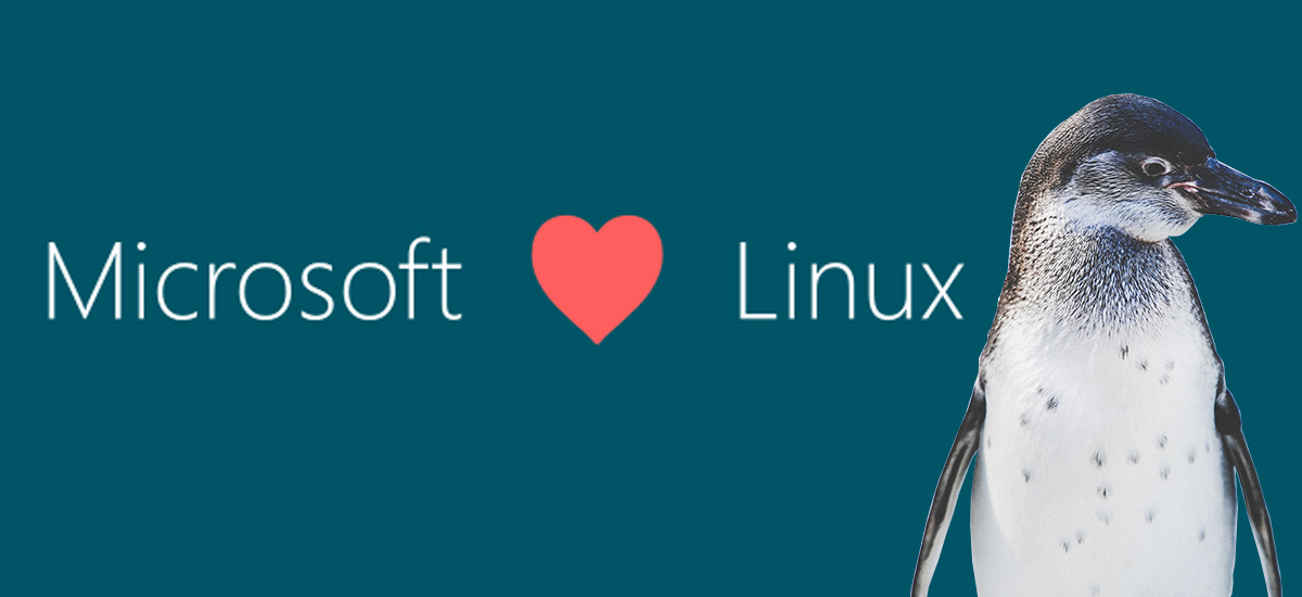 linux sklep windows