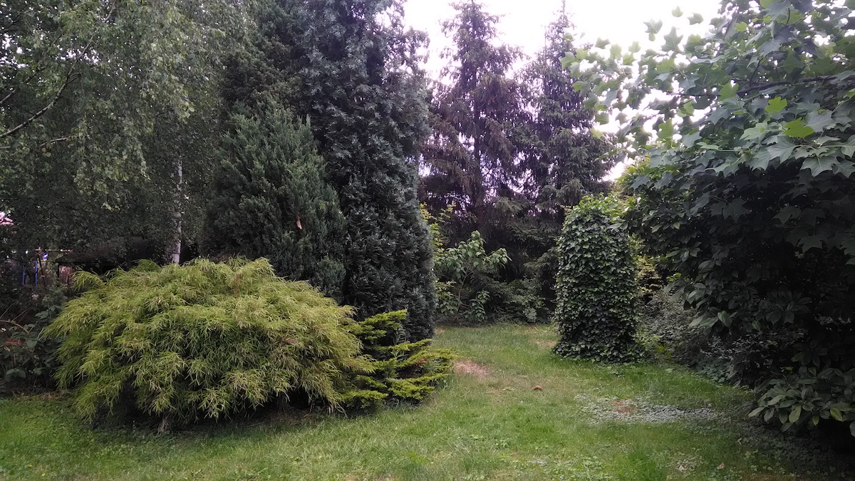  class="wp-image-571256" 