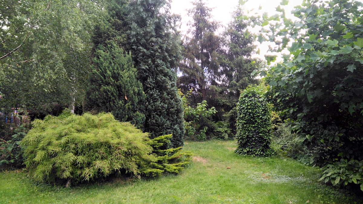  class="wp-image-571257" 