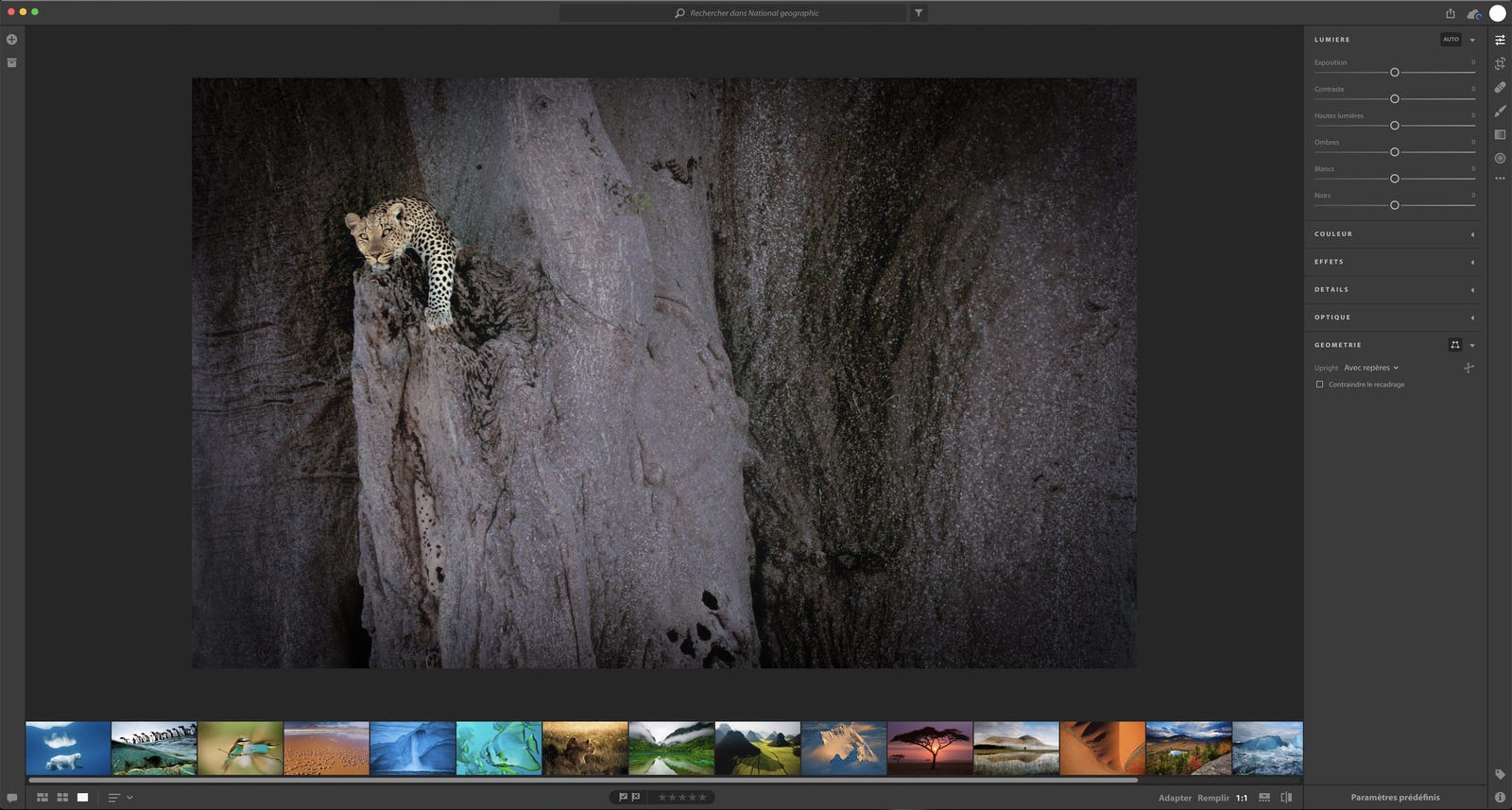 adobe project nimbus class="wp-image-580440" 
