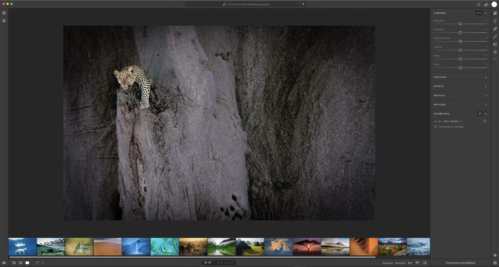 adobe project nimbus class="wp-image-580440"