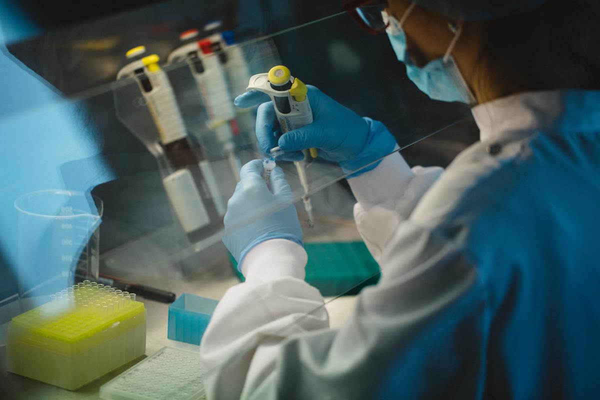 Genetyka dla rolników? Polski startup Nexbio chce zmienić sposób walki ze szkodnikami