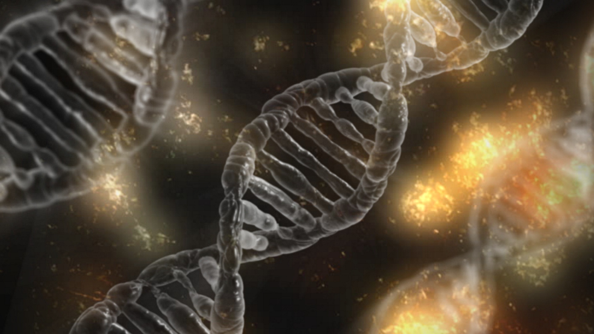 dna-1903318