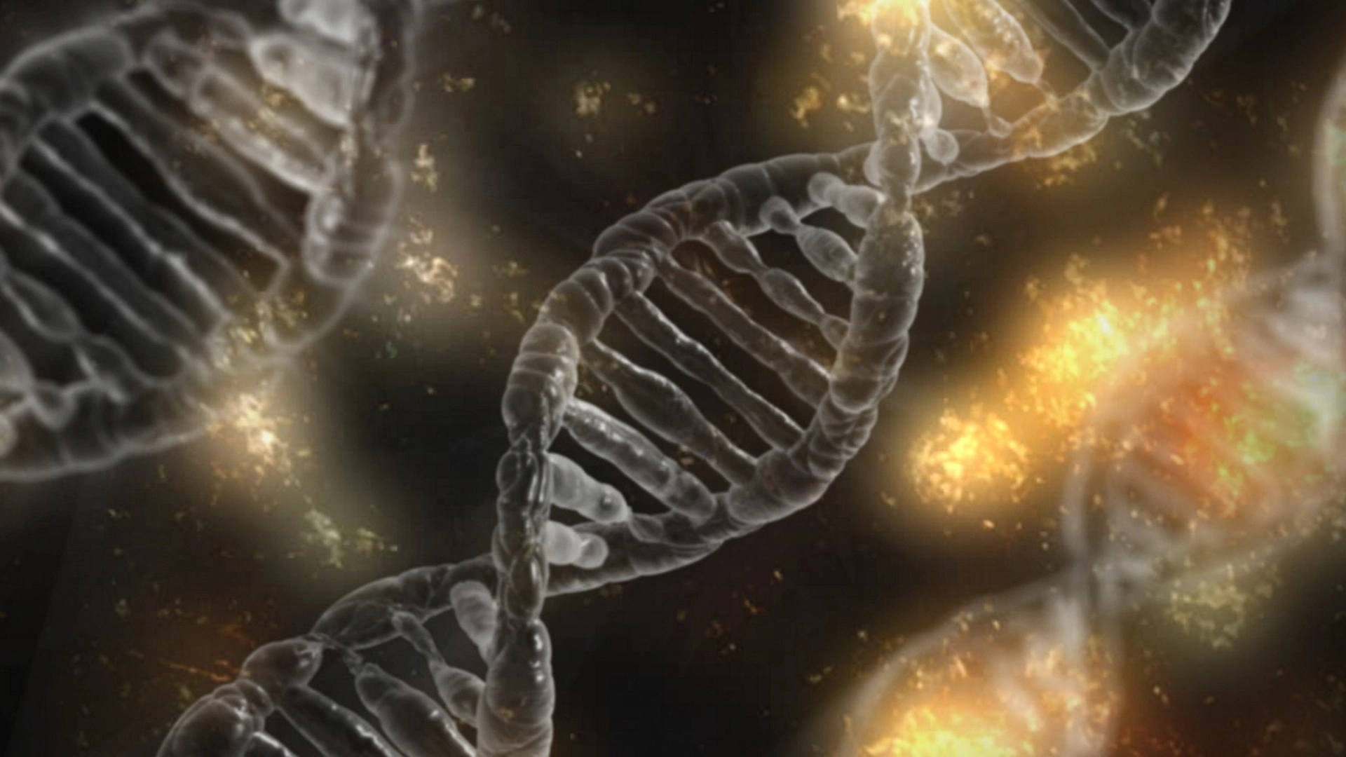 dna-1903318