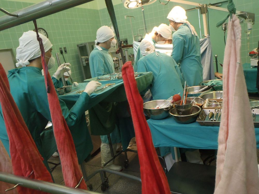 ksenotransplantologia chiny class="wp-image-587287" 