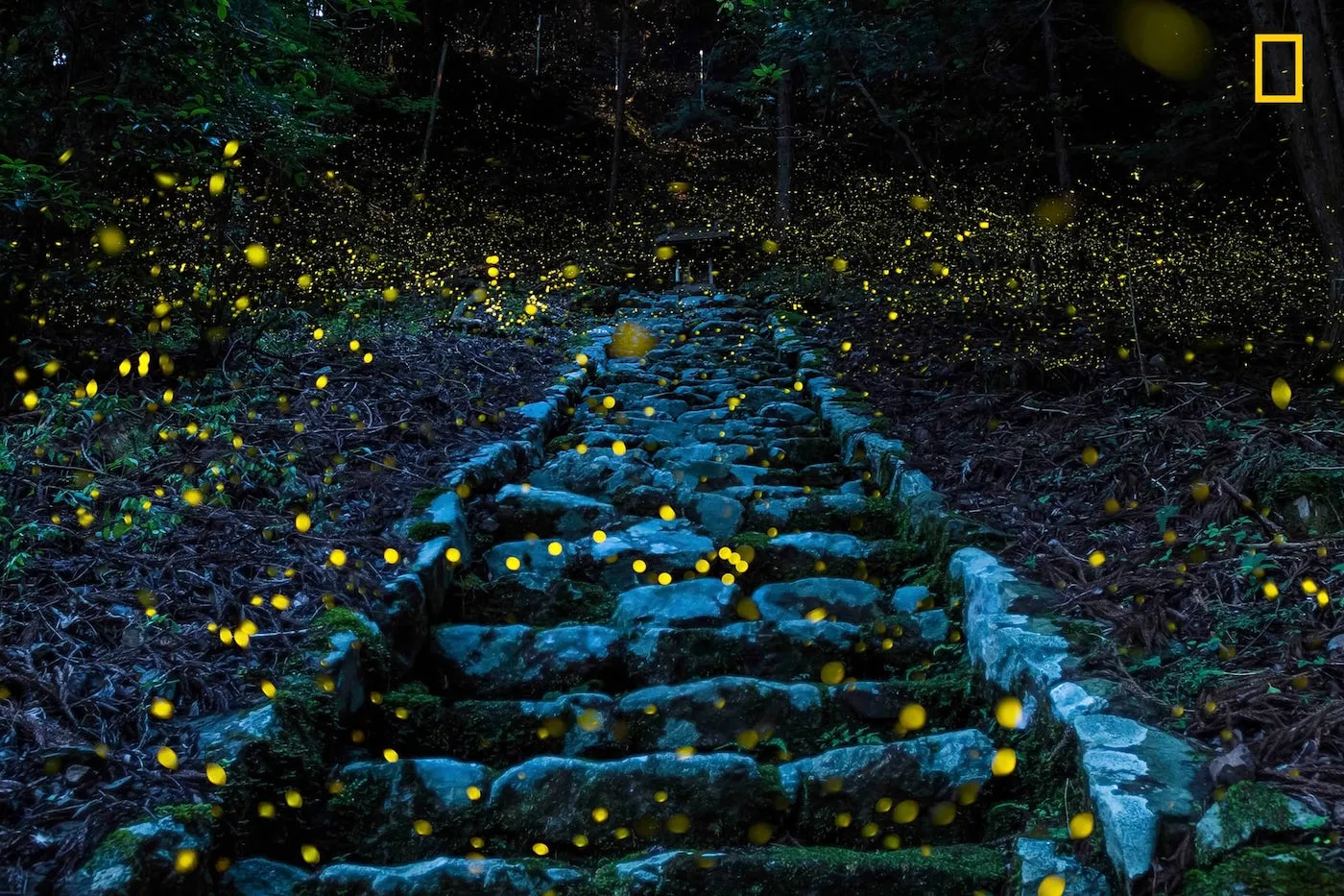 National Geographic pokazuje najlepsze zdjęcia podróżnicze 2017 roku