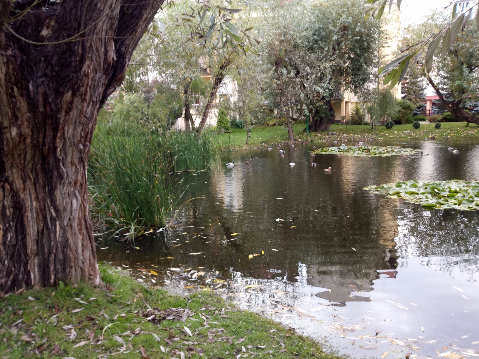  class="wp-image-601976" 