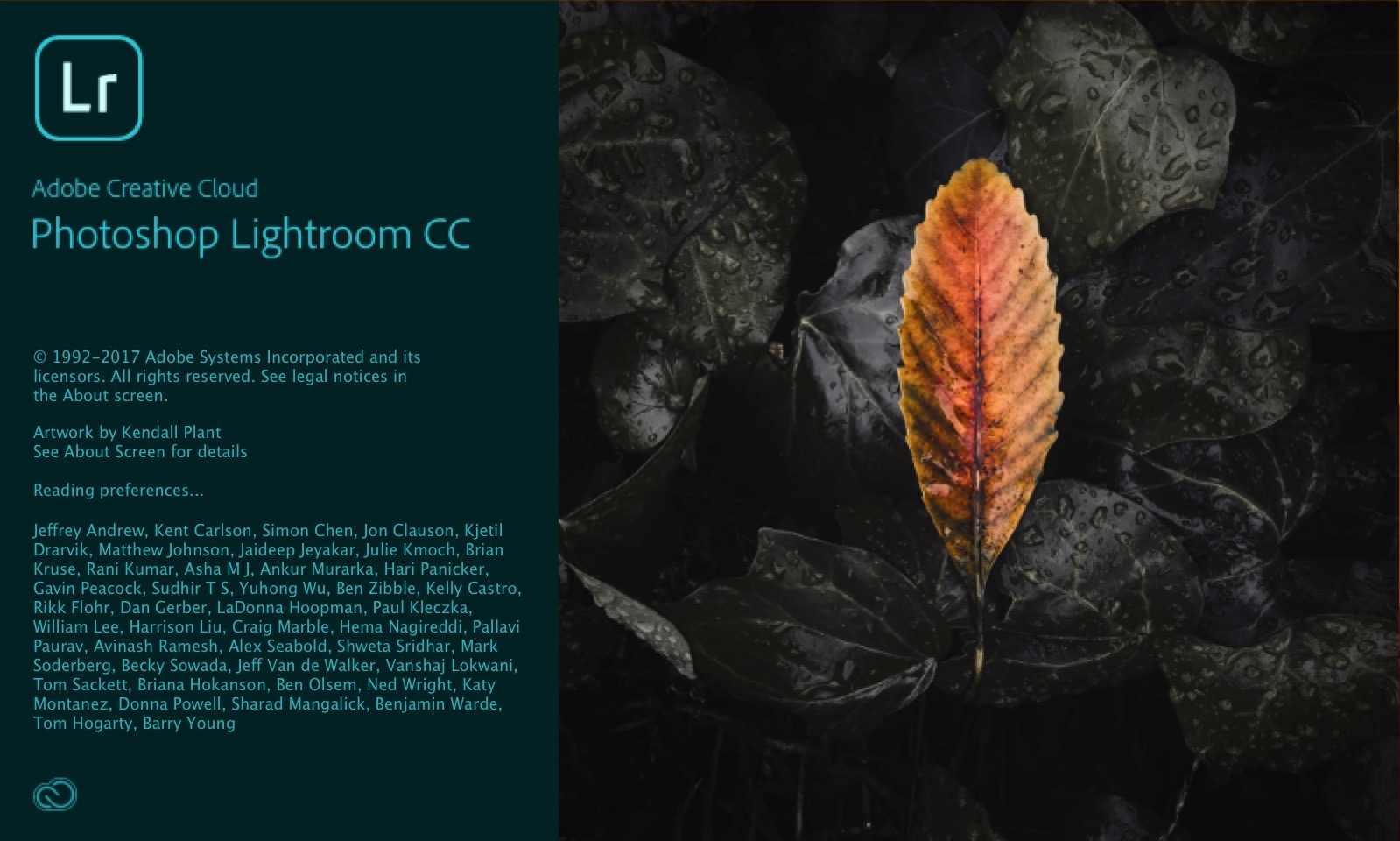 Adobe Lightroom CC - recenzja programu class="wp-image-612787" 