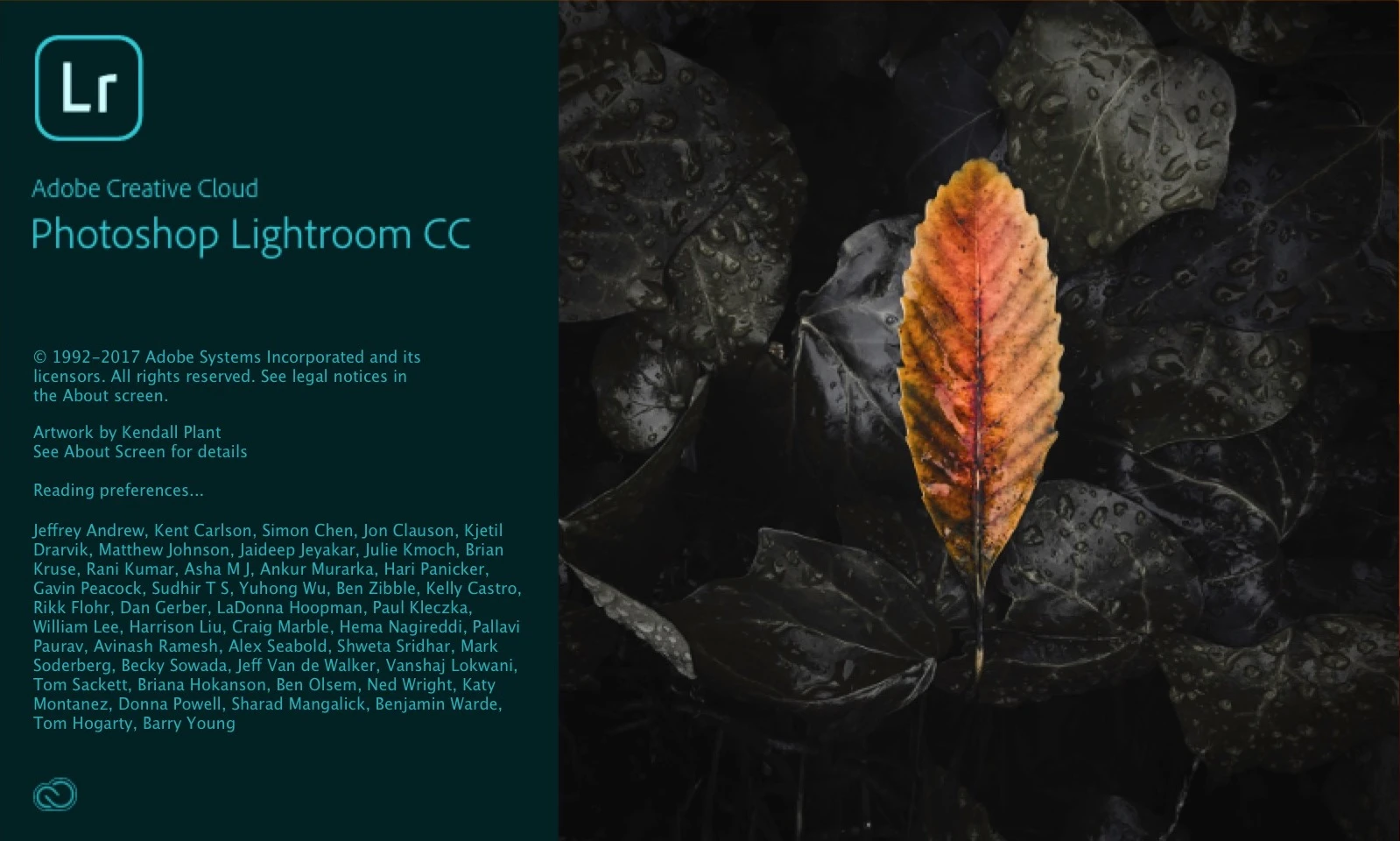 Adobe Lightroom CC - recenzja programu class="wp-image-612787"