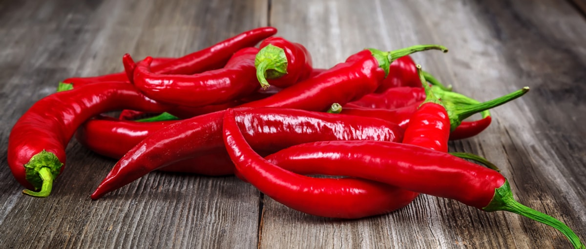 Papryk Vege Prezentuje Arcykurwadzieła Światowego Kina