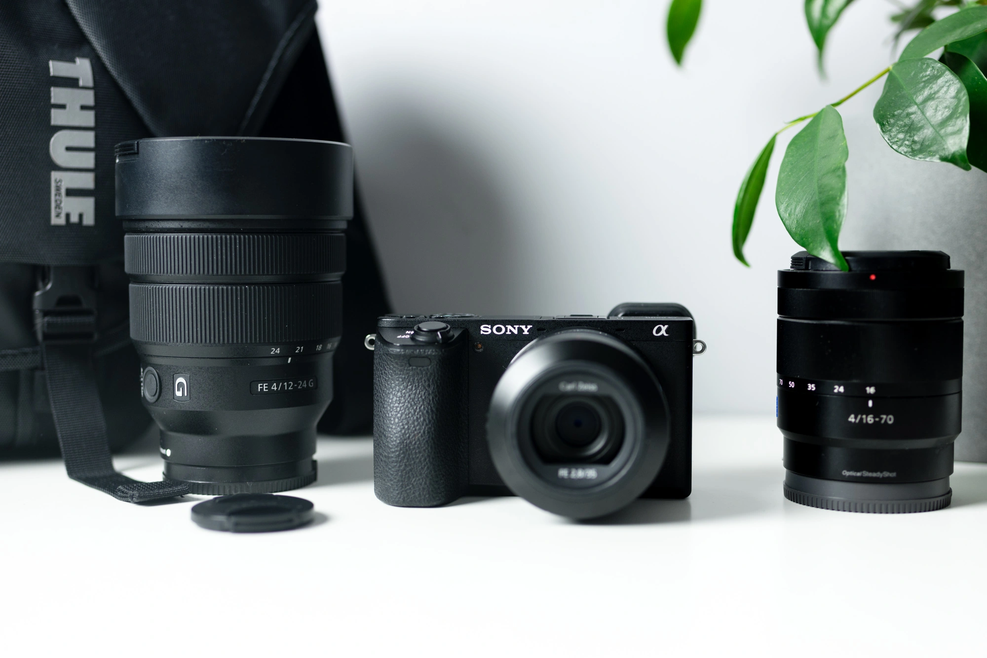 Moja przesiadka z pełnej klatki Nikona na bezlusterkowca Sony