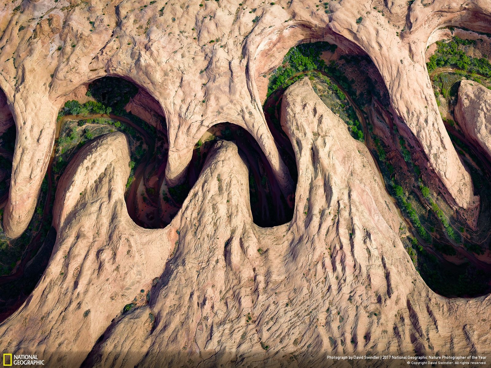 national geographic najlepsze zdjęcia roku 2017 class="wp-image-646296" 