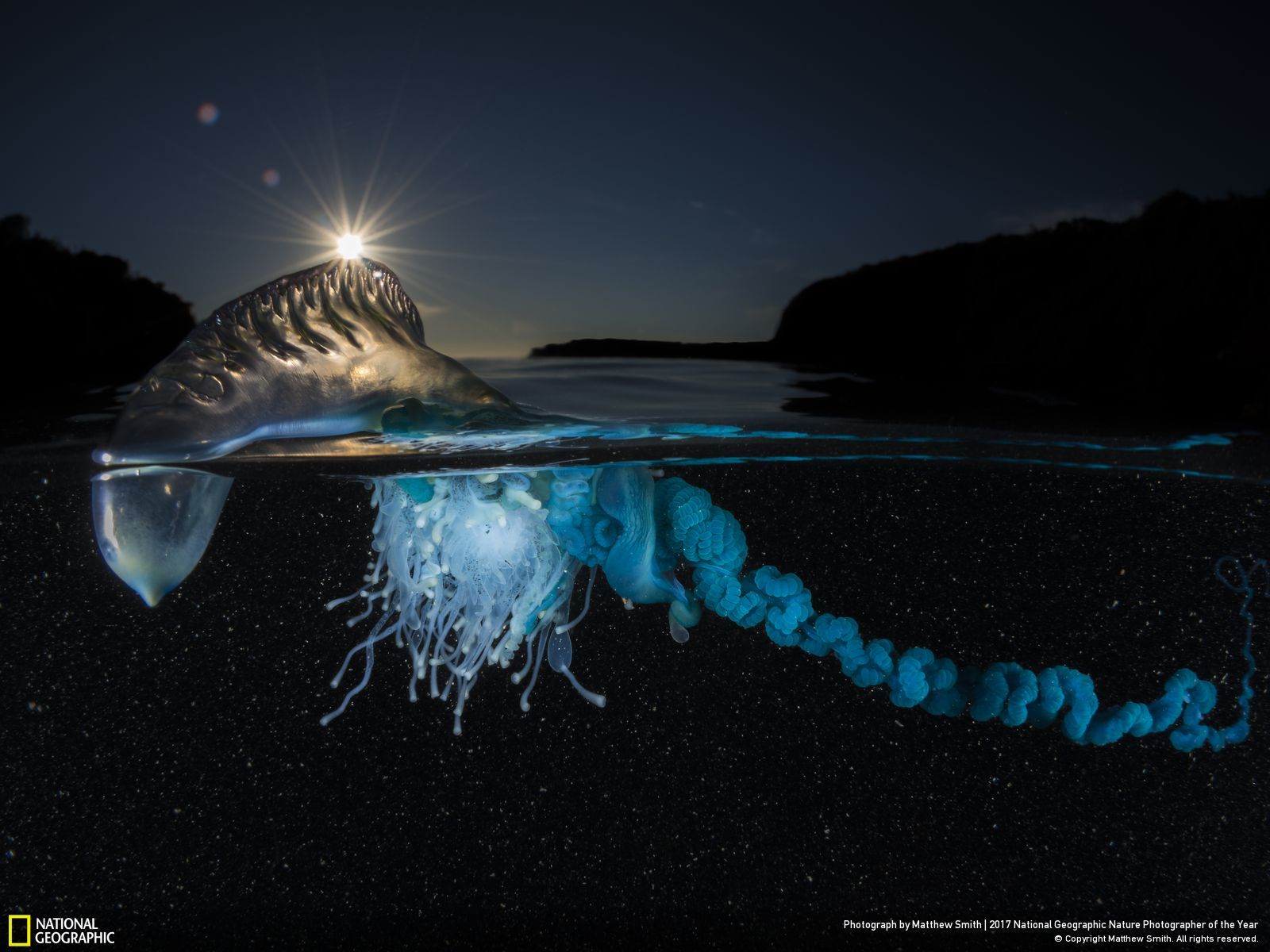 national geographic najlepsze zdjęcia roku 2017 class="wp-image-646299" 