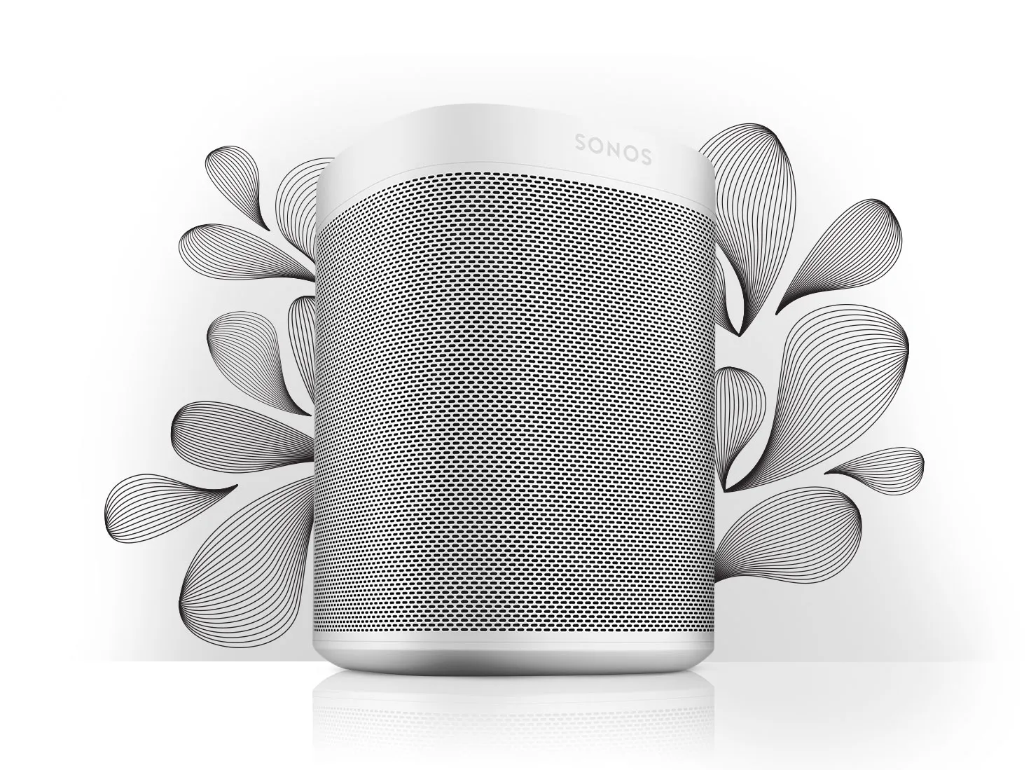 sonos głośnik
