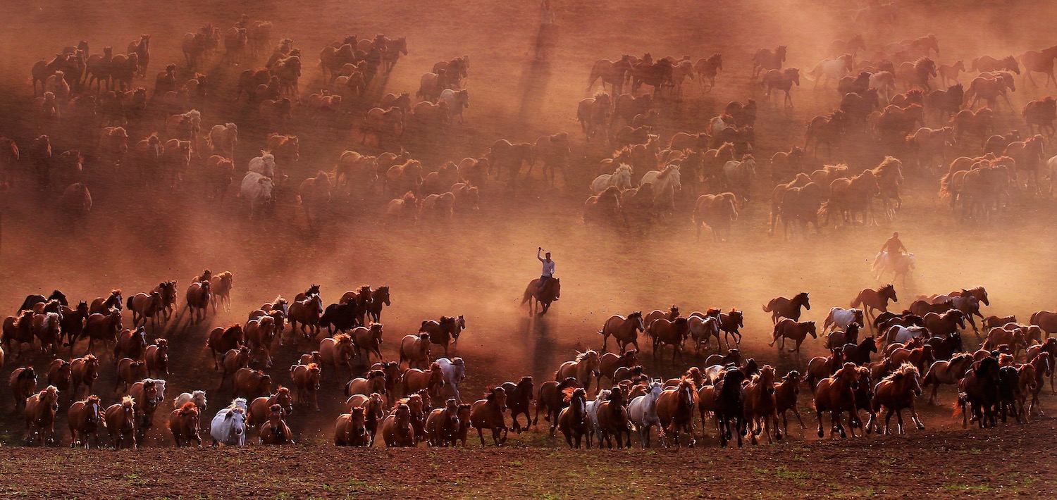 Shen Jianfeng - Chiny