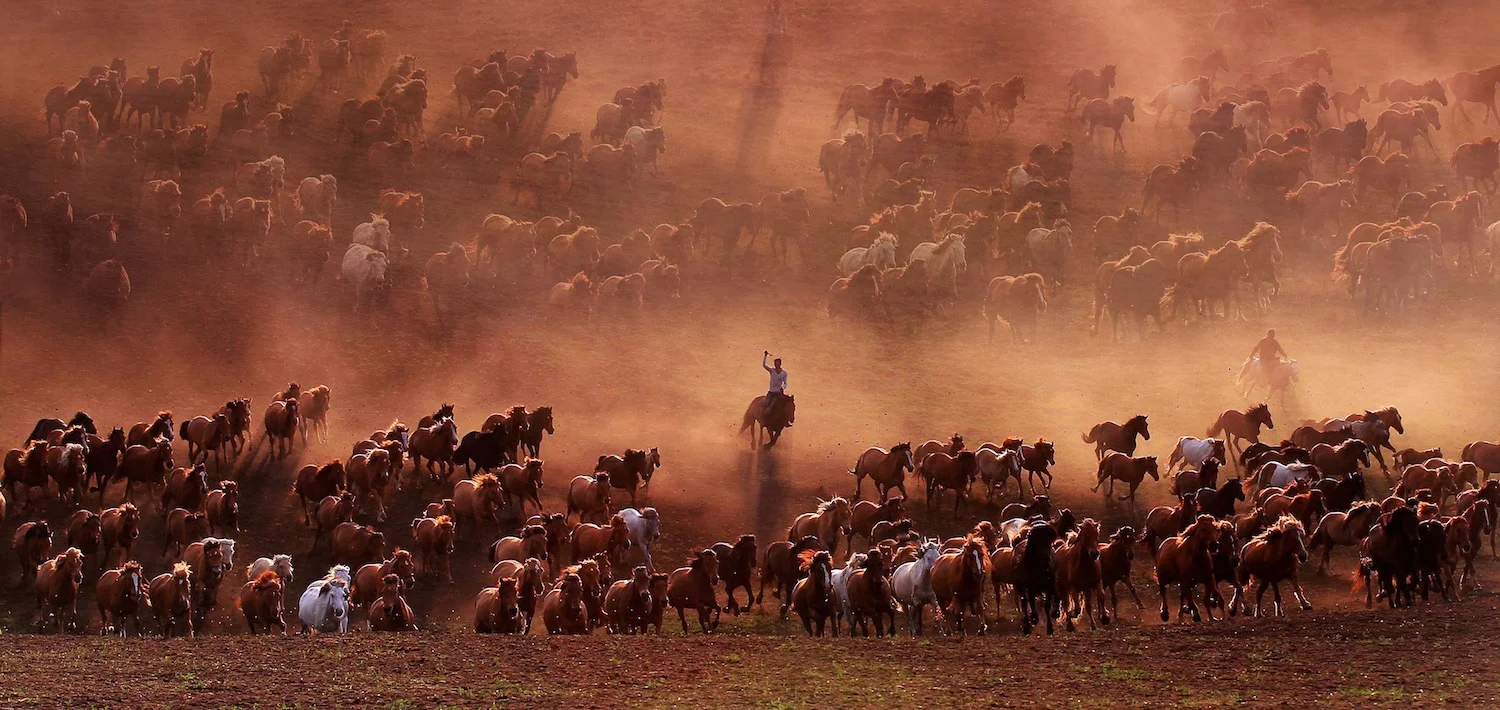 Shen Jianfeng - Chiny