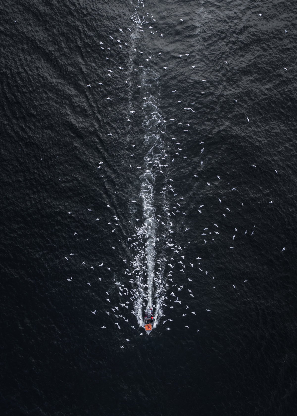 2017 SkyPixel DJI - konkurs zdjęć z drona class="wp-image-673054" 