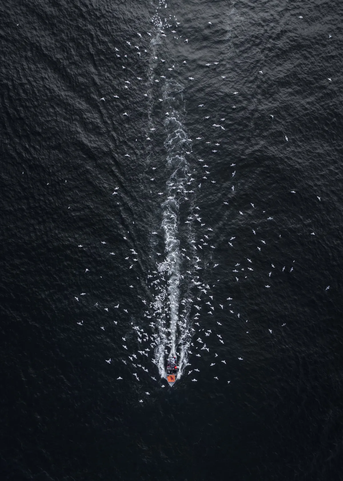 2017 SkyPixel DJI - konkurs zdjęć z drona class="wp-image-673054"