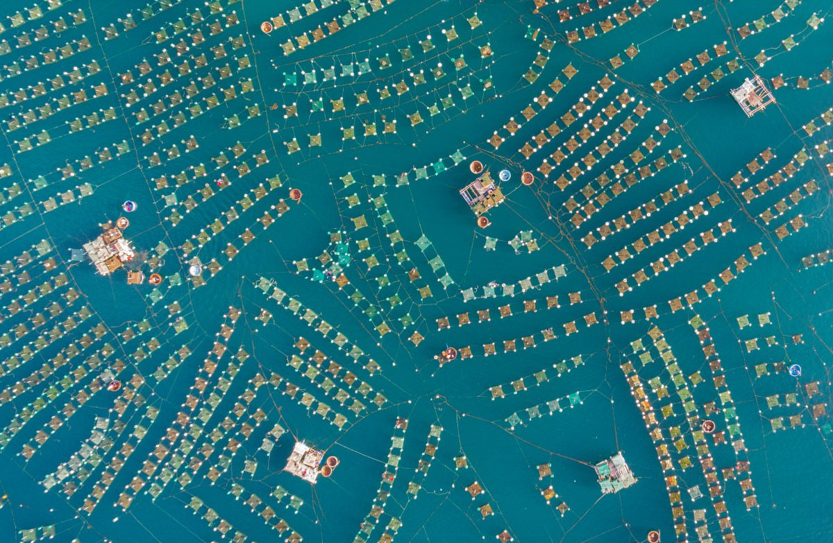 2017 SkyPixel DJI - konkurs zdjęć z drona class="wp-image-673057" 