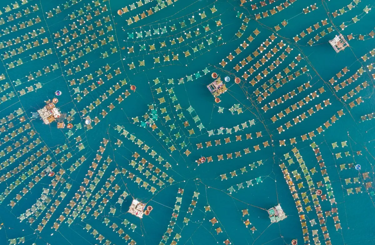 2017 SkyPixel DJI - konkurs zdjęć z drona class="wp-image-673057"